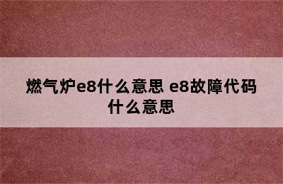 燃气炉e8什么意思 e8故障代码什么意思